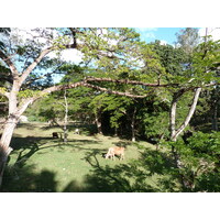 照片 新喀里多尼亚(New Caledonia) 卡纳拉至拉福阿公路(Canala to La Foa road) 2010-05 7