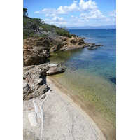 照片 法国(France) 波克罗勒岛(Porquerolles Island) 勒坎角(Pointe du Lequin) 2008-05 63