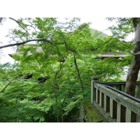 照片 日本(Japan) 京都(Kyoto) 清水寺(Kiyomizu Dera Temple) 2010-06 58