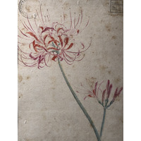 照片 意大利(Italy) 西西里岛(Sicily) 巴勒莫(Palermo) 诺曼王宫(Palazzo dei Normanni) 2020-02 175