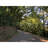 照片 法国(France) 科西嘉岛(Corsica) 圣朱利亚诺(San Giuliano) 2018-09 0