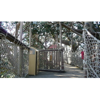 照片 法国(France) 巴黎迪士尼乐园(Disneyland Paris) 鲁滨逊树屋(La Cabane des Robinson) 2007-07 19
