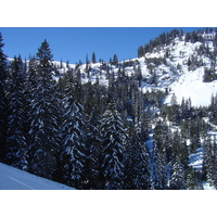 照片 奥地利(Austria) 基茨比厄尔(Kitzbuhel) 滑雪(Ski) 2005-03 70