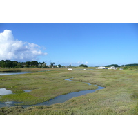 照片 法国(France) 特雷伯尔当(Trebeurden) 2007-08 20