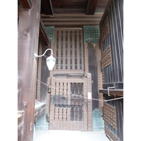 照片 日本(Japan) 京都(Kyoto) 二条城(Nijo Castle) 2010-06 30
