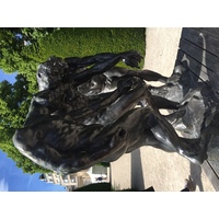 照片 法国(France) 巴黎(Paris) 罗丹博物馆(Rodin Museum) 2017-06 65