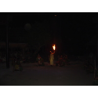 照片 波利尼西亚(Polynesia) 莫雷阿岛(Moorea) 2006-04 130