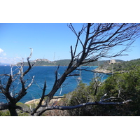 照片 法国(France) 波克罗勒岛(Porquerolles Island) 勒坎角(Pointe du Lequin) 2008-05 36