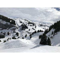 照片 法国(France) 梅杰夫(Megeve) 2019-03 75