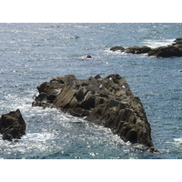 照片 法国(France) 滨海巴茨(Batz sur mer) 2004-08 7