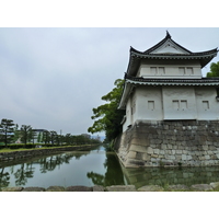 照片 日本(Japan) 京都(Kyoto) 二条城(Nijo Castle) 2010-06 126