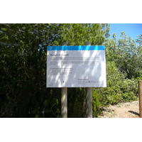 照片 法国(France) 波克罗勒岛(Porquerolles Island) 勒坎角(Pointe du Lequin) 2008-05 4