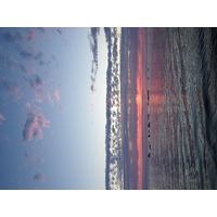 照片 法国(France) 滨海拉普莱讷(La Plaine sur mer) 2013-06 10