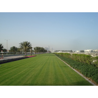 照片 阿联酋(United Arab Emirates) 迪拜(Dubai) 朱美拉海滩(Jumeirah Beach) 2007-03 23