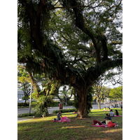 照片 新加坡(Singapore) 2023-01 57