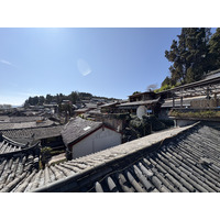 照片 中国(China) 丽江(Lijiang) 2026-01 250