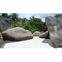 照片 塞舌尔(Seychelles) 拉迪格岛(La Digue) 2011-10 9