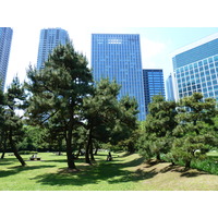 照片 日本(Japan) 东京(Tokyo) 滨离宫恩赐庭园(Hama rikyu Gardens) 2010-06 22