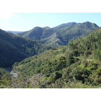照片 新喀里多尼亚(New Caledonia) 卡纳拉至拉福阿公路(Canala to La Foa road) 2010-05 5