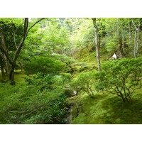 照片 日本(Japan) 京都(Kyoto) 银阁寺(Ginkakuji Temple(Silver Pavilion)) 2010-06 84
