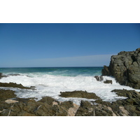 照片 南非(South Africa) 齐齐卡马国家公园(Tsitsikamma National Park) 2008-09 261