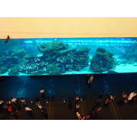 照片 阿联酋(United Arab Emirates) 迪拜(Dubai) 迪拜购物中心(The Dubai Mall) 2009-12 49