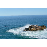 照片 南非(South Africa) 赫曼努斯(Harmanus) 2008-09 291