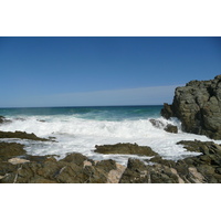 照片 南非(South Africa) 齐齐卡马国家公园(Tsitsikamma National Park) 2008-09 271