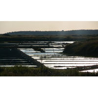 照片 法国(France) 盖朗德(Guerande) 盐田(Les marais salants) 2007-08 1