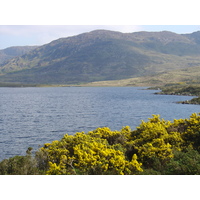 照片 爱尔兰(Ireland) 凯里郡(Kerry) 卡拉湖(Caragh Lake) 2004-05 7