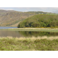 照片 爱尔兰(Ireland) 凯里郡(Kerry) 卡拉湖(Caragh Lake) 2004-05 1