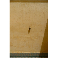 照片 摩洛哥(Morocco) 梅克内斯(Meknes) 2008-07 27