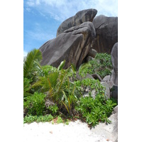 照片 塞舌尔(Seychelles) 2011-10 181
