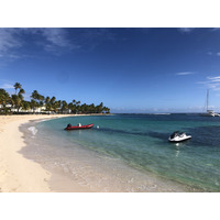 照片 瓜德罗普(Guadeloupe) 卡拉维尔海滩(La Caravelle Beach) 2021-02 141