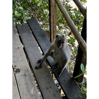 照片 泰国(Thailand) 甲米(Krabi) 奥南(Ao Nang) 2023-01 97