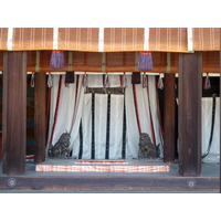 照片 日本(Japan) 京都(Kyoto) 京都御所(Kyoto Imperial Palace) 2010-06 95