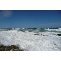 照片 南非(South Africa) 齐齐卡马国家公园(Tsitsikamma National Park) 2008-09 209