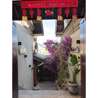 照片 中国(China) 丽江(Lijiang) 2026-01 227