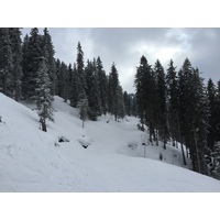 照片 法国(France) 梅杰夫(Megeve) 2016-02 89