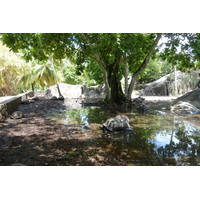 照片 塞舌尔(Seychelles) 拉迪格岛(La Digue) 2011-10 194