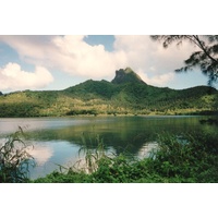照片 波利尼西亚(Polynesia) 1993-04 76