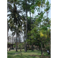 照片 泰国(Thailand) 清迈(Chiang Mai) 护城河内(Inside Canal) 布阿哈公园(Buak Had Park) 2006-04 17