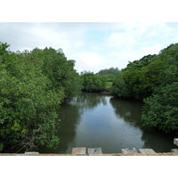 照片 斐济(Fiji) 楠迪至纳塔多拉公路(Nadi to Natadola road) 2010-05 72