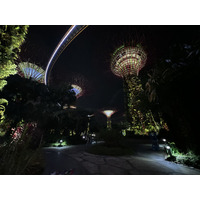 照片 新加坡(Singapore) 滨海湾花园(Garden by the bay) 2023-01 0