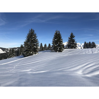 照片 法国(France) 阿尔利河畔普拉(Praz sur Arly) 2019-12 112