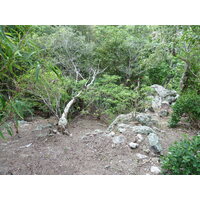 照片 斐济(Fiji) 漂流者岛(Castaway Island) 2010-05 18