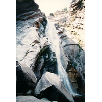 照片 美国(United States) 优胜美地国家公园(Yosemite National Park) 1992-08 34