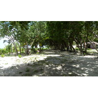 照片 塞舌尔(Seychelles) 拉迪格岛(La Digue) 2011-10 193