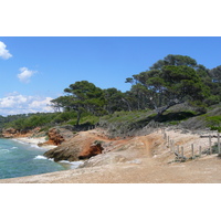 照片 法国(France) 波克罗勒岛(Porquerolles Island) 库尔塔德海滩(Courtade beach) 2008-05 11