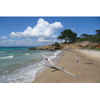 照片 法国(France) 波克罗勒岛(Porquerolles Island) 库尔塔德海滩(Courtade beach) 2008-05 30